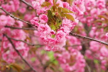 金华婺城区8线下个人借款平台一站式服务，轻松解决资金难题