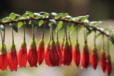 金华婺城区8零用贷短借：轻松解决临时资金需求