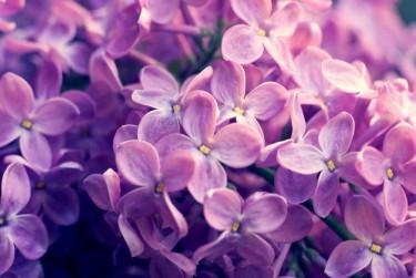 金华婺城区8企业急用钱贷款攻略：快速融资解燃眉之急